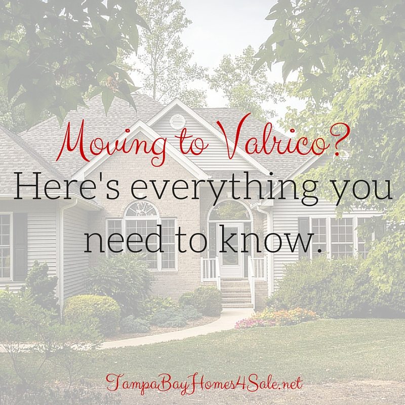 Moving to Valrico Valrico Condos Townhomes and Homes for Sale