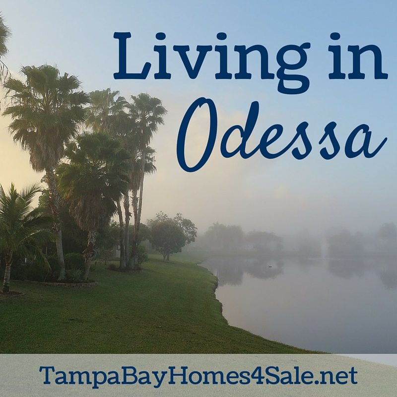 Living in Odessa Florida