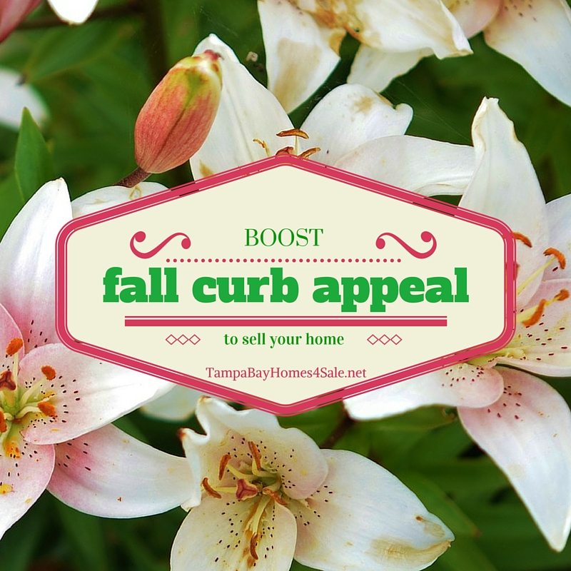 Boost Your Fall Curb Appeal