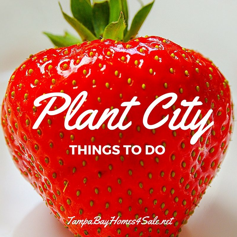 What to Do in Plant City