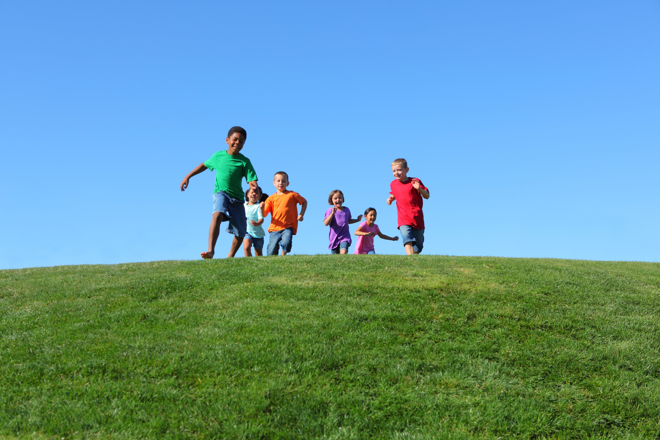3 Fun Things to Do With Kids in Dunedin FL