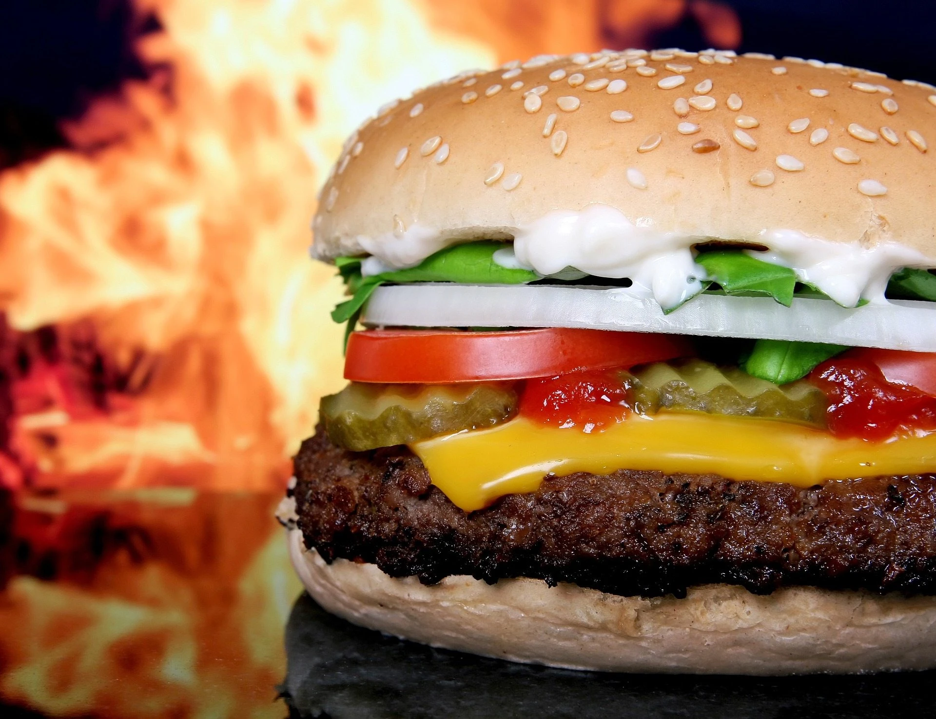 Locally Owned Restaurants in Citrus Park Florida