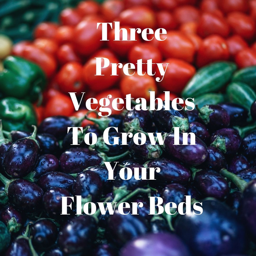 Three Pretty Vegetables To Grow In Your Flower Beds