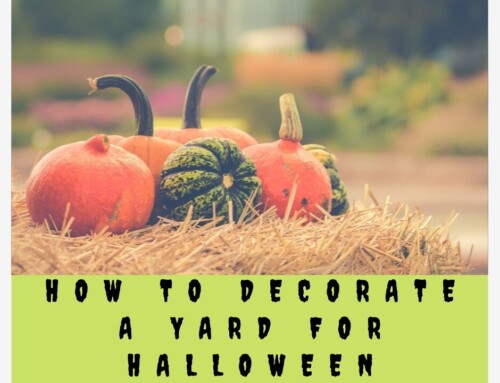 How To Decorate A Yard For Halloween