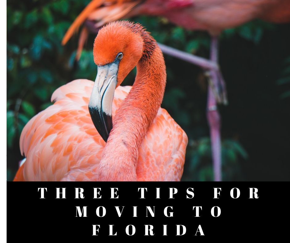 Three Tips For Moving To Florida