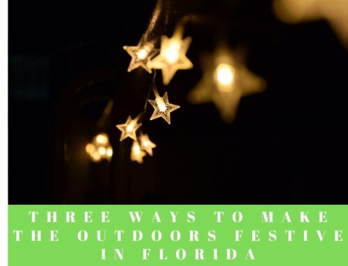 Three Ways To Make The Outdoors Festive In Florida