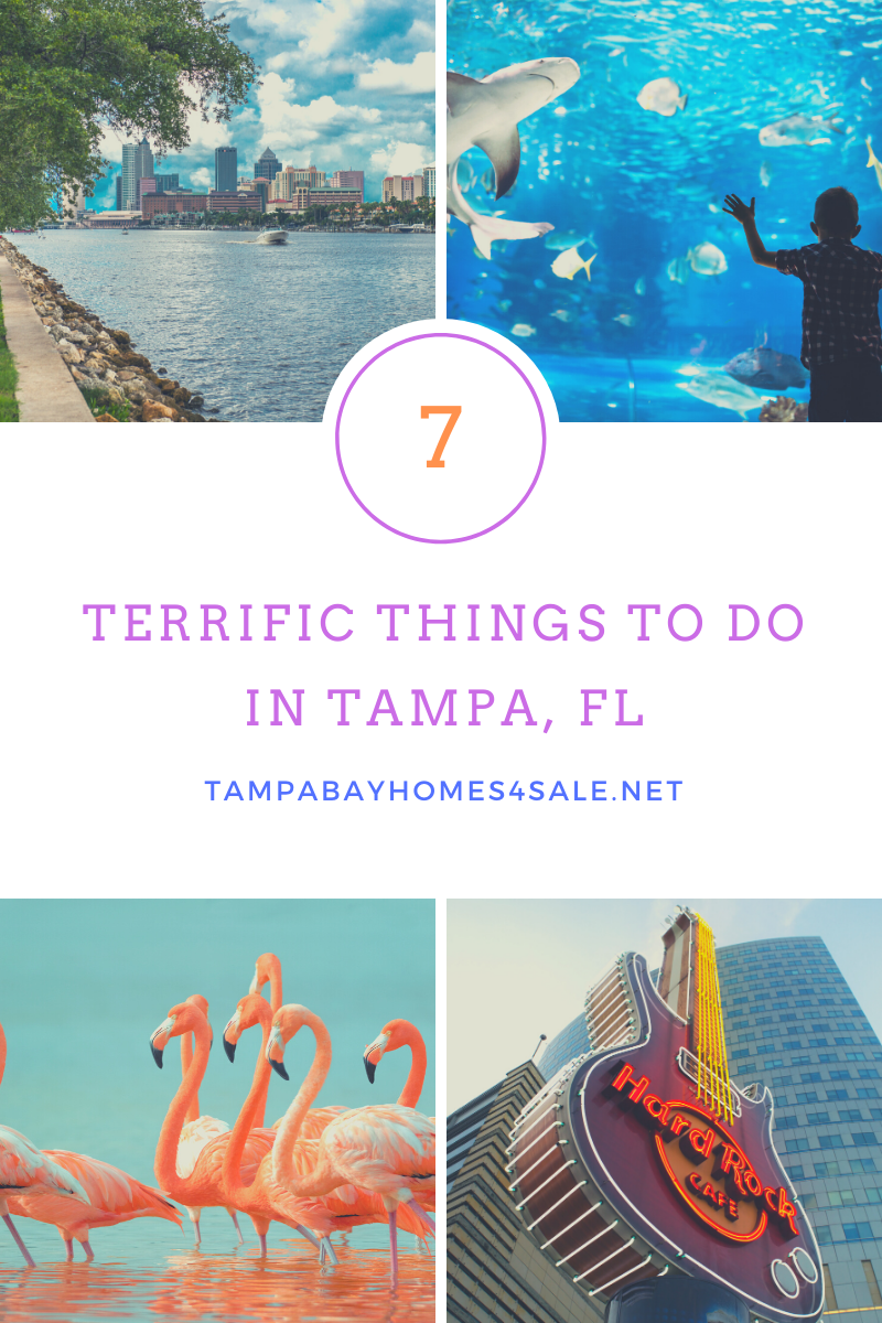 7 Terrific Things to Do in Tampa FL
