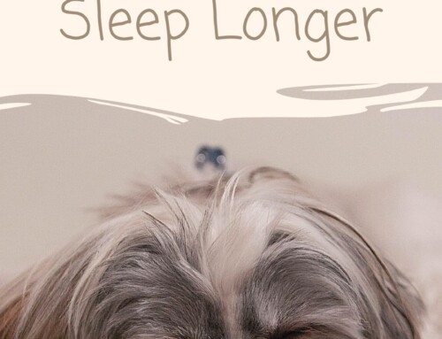 10 Ways to Sleep Longer