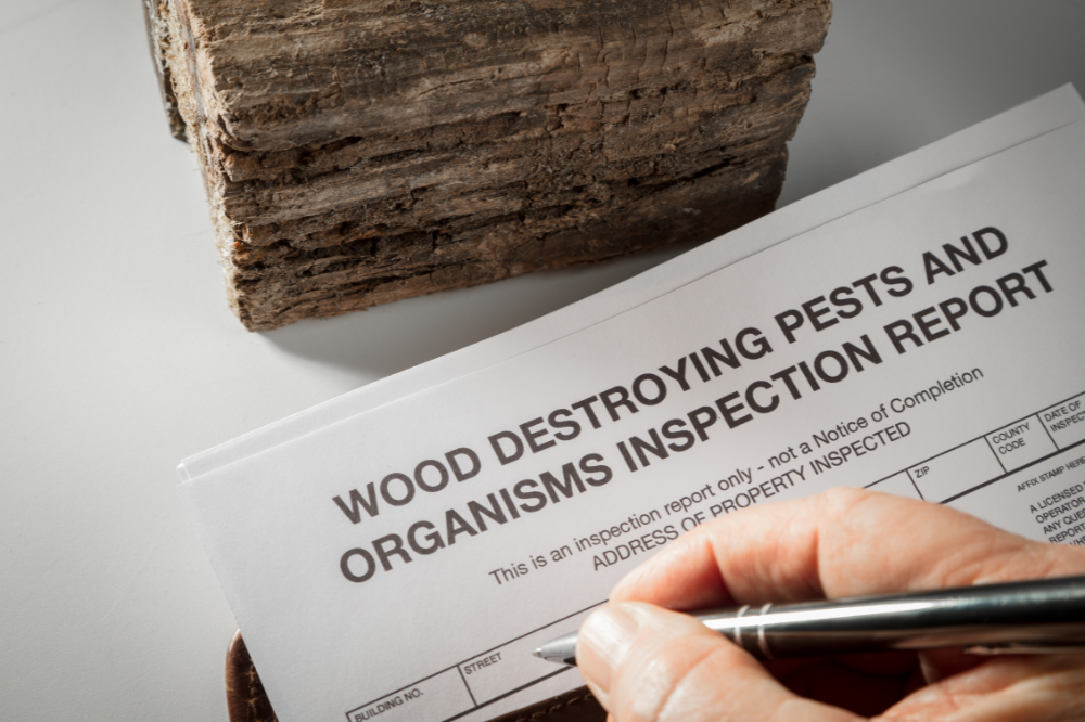 Should You Get a Pest Inspection