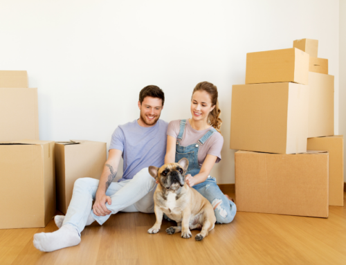 Tips for Selling Your Home in Tampa Bay When You Have Pets