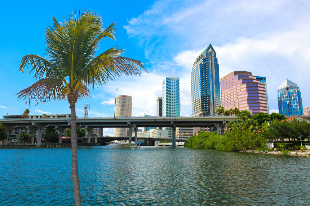 The Pros and Cons of Buying a Waterfront Property in Tampa Bay