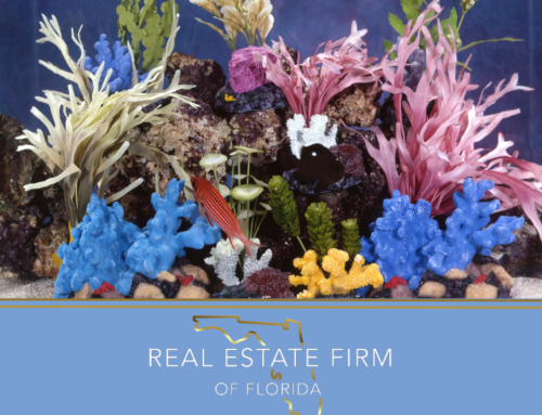 How to Move a Salt Water Fish Tank to Your New Home