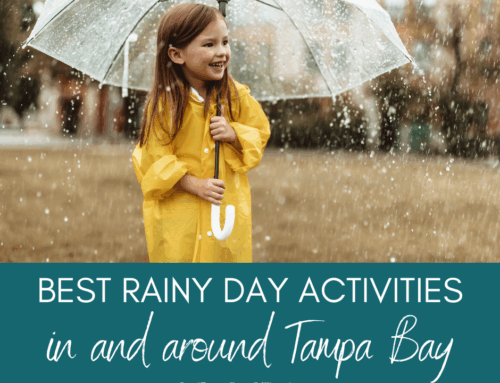 Best Rainy Day Activities in Tampa Bay