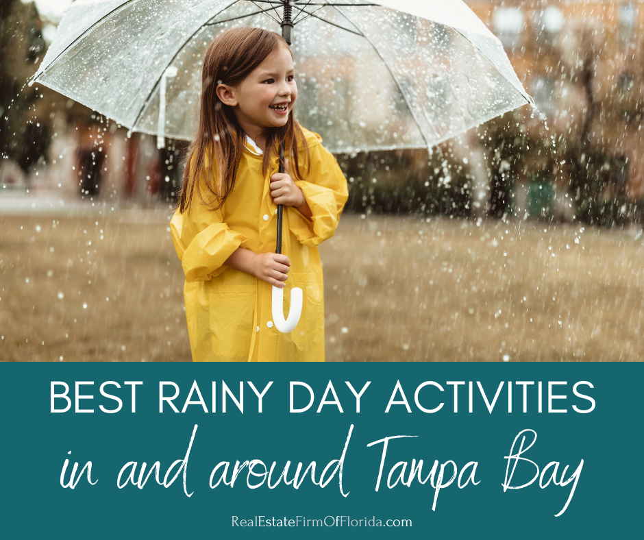 Best Rainy Day Activities in Tampa Bay
