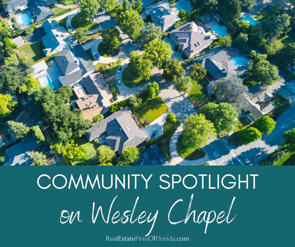 Community Spotlight Living in Wesley Chapel