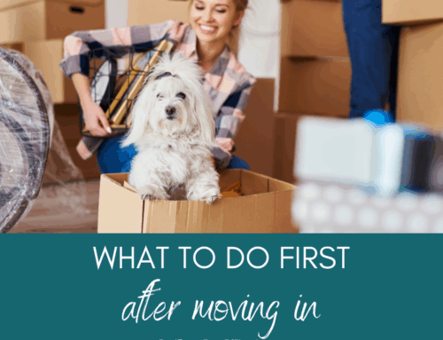 Settling Into Your New Florida Home: What to Do First