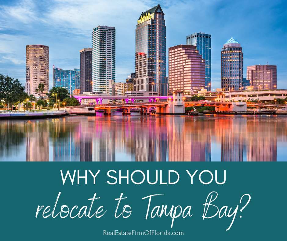 Why Tampa Bay Is a Top Choice for Relocation