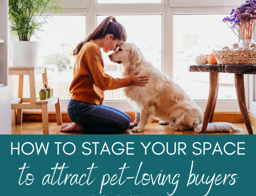 How to Stage Spaces for Pet Lovers—No Pets Required