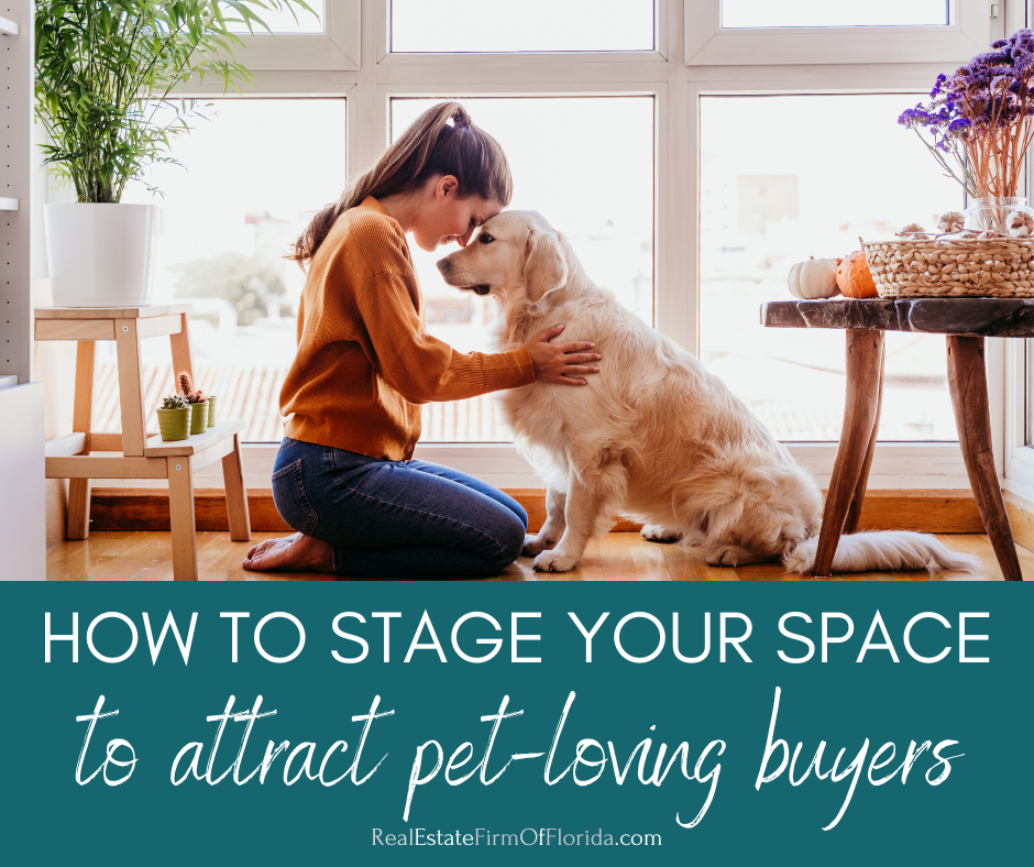 How to Stage Spaces for Pet Loversno Pets Required Real Estate Firm of Florida Llc | Tampa Bay Homes for Sale How to Stage Spaces for Pet LoversNo Pets Required