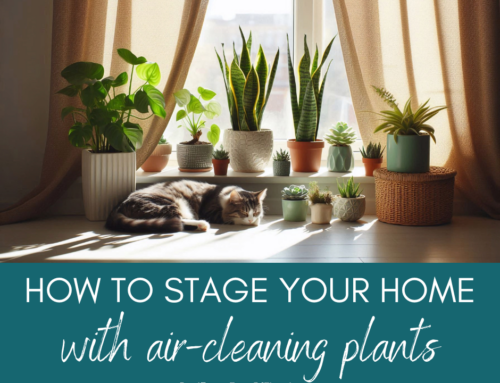How to Stage Your Home With Plants That Clean the Air