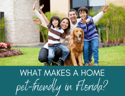 What Makes a Home Pet Friendly in Florida’s Climate
