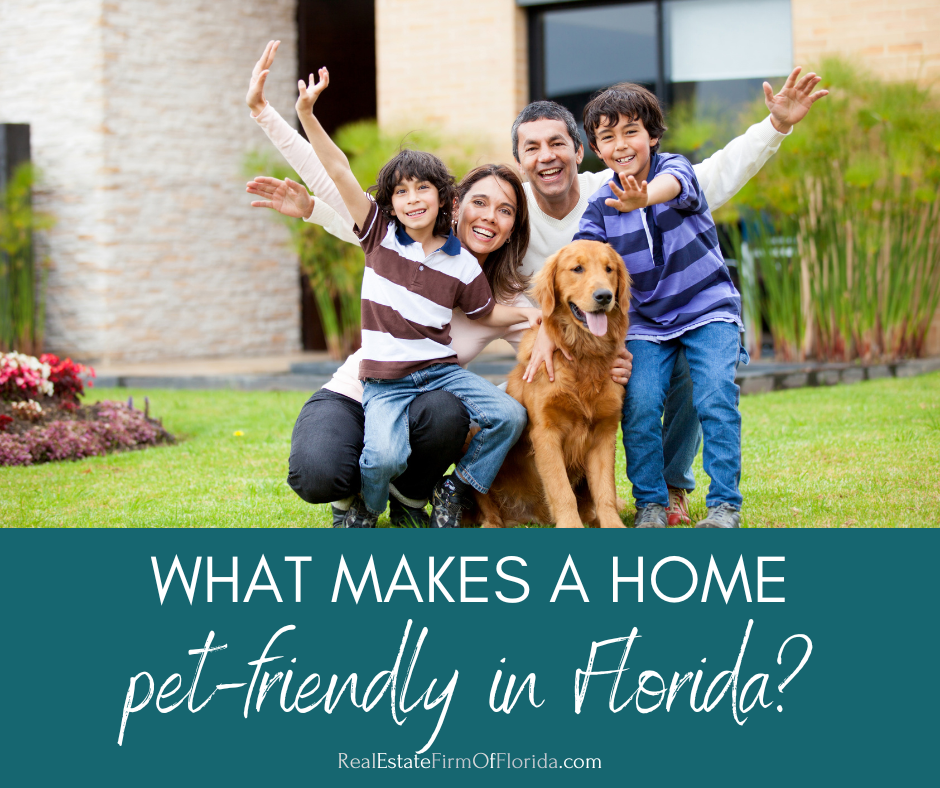 What Makes a Home Pet Friendly in Floridas Climate