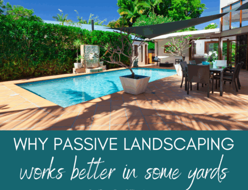 Why Passive Landscaping Works Better in Some Florida Yards