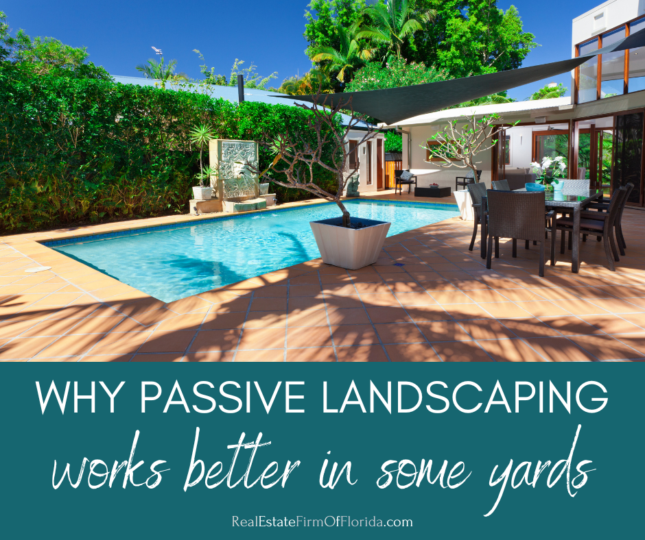 Why Passive Landscaping Works Better in Some Florida Yards